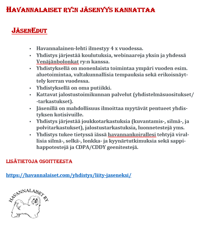 Ostoskori