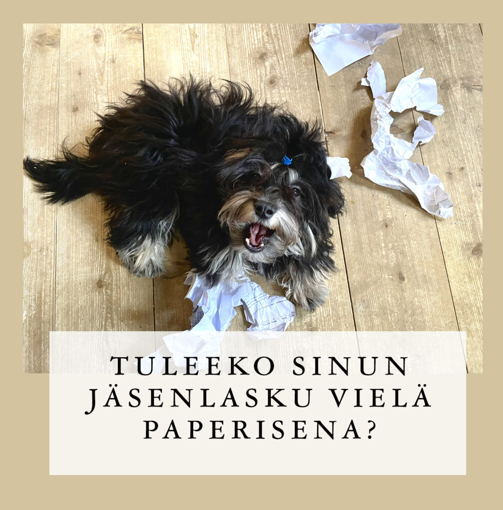 Ostoskori