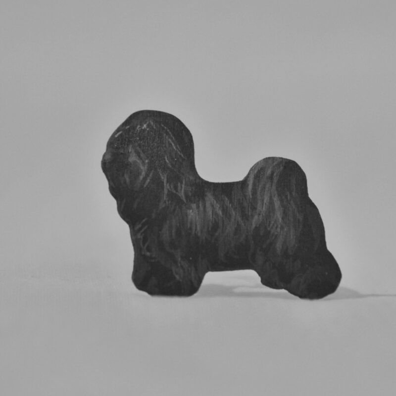 Ostoskori