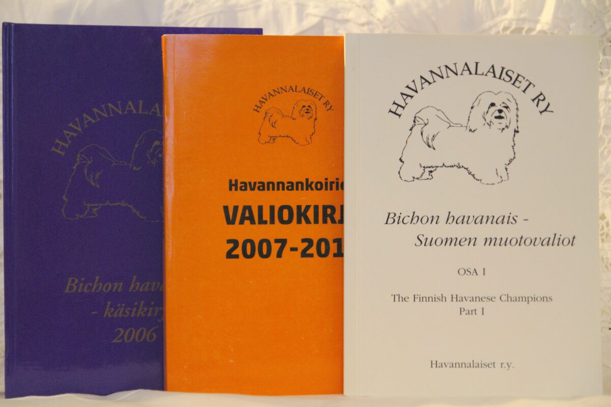 Ostoskori