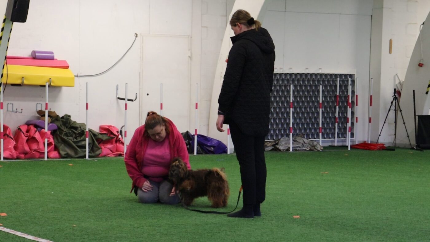 Ostoskori